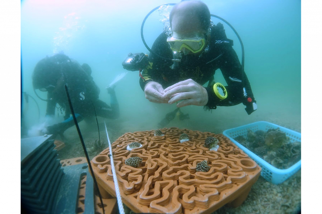 archiREEF