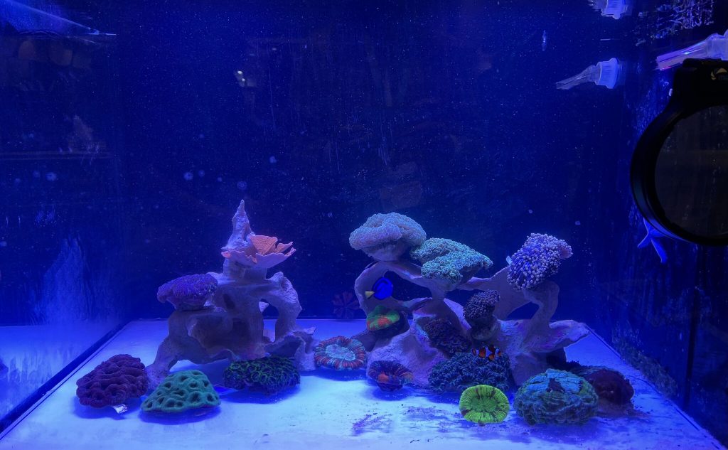 TOCHI LAB