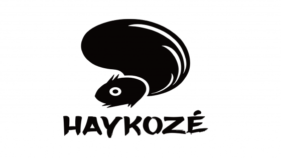 Haykozé