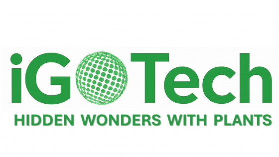 Hidden Wonders with Plants